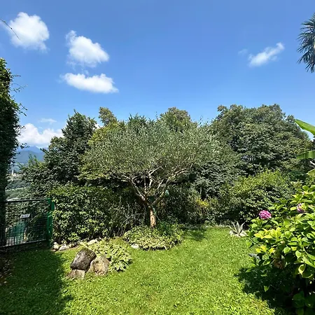 I Vallata Paradise I Free Parking - Garden&view - 10minutes From Appartamento Lugano